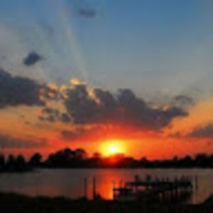 Meet your Posher, Bella